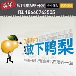 苹果app开发价格,苹果app开发商家价格及规格型号