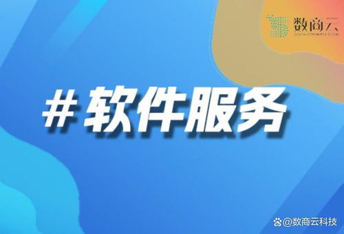 数商云电商软件开发 深度融合技术与业务,驱动企业电商增长