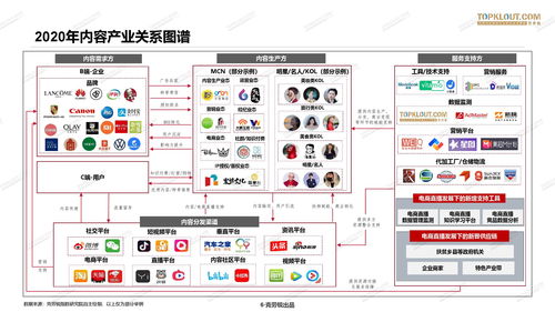 克劳锐2020年中国MCN行业发展研究白皮书：B2B软件开发的机遇与挑战